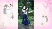 最新幼儿歌舞教学视频大全《繁花》中国风的