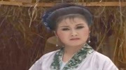 黄梅戏大全视频手机下载《孤儿寡母好伤心》