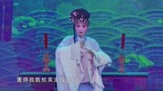 越剧下载免费mp4《宫墙柳》前部分片段