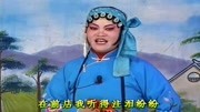 琴书mp4免费下载《王天宝下苏州》怨一声相