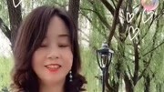 高清越剧下载网mp4免费下载《追鱼》选段