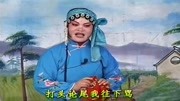 山东琴书mp3免费下载《王天宝下苏州》我看