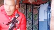 大鼓书下载免费mp3《刘云打母》选段