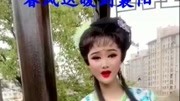 黄梅戏大全视频手机下载《女驸马》
