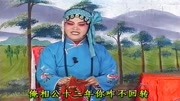 琴书mp4免费下载《王天宝下苏州》小奴家哭