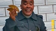 河南大鼓书下载免费mp3打包下载《十二个月
