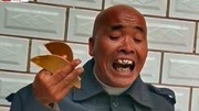 河南大鼓书全集mp3视频免费下载《老来难》