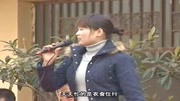 民间小调下载网站《唢呐村的故事》王娟演唱