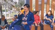 山西晋剧下载免费mp3《打金枝》张家口农村