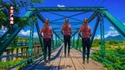 迪斯科广场舞视频大全在线mp4免费下载《野狼王的士高》舞厅必备舞曲下载