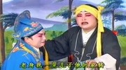 琴书mp4免费下载《王天宝下苏州》抱住儿子