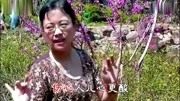 越剧免费mp3下载《何文秀》选段 枝头鸟雀闹