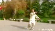 太极拳初学入门视频mp4免费下载 赵斌大师85