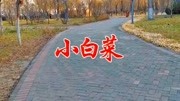 民间小调下载网站《小白菜》句句让人心碎好