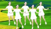 广场舞教学视频分解慢动作《多年以后》经典DJ广场舞动感旋律舞蹈好看下载
