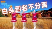 广场舞教程初级舞步分解动作《白头到老不分