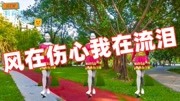 广场舞初学入门8步分解《风在伤心我在流泪