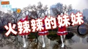 辣妈广场舞教学视频mp4免费下载《火辣辣的