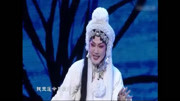 河南曲剧下载免费mp3下载《荆钗记》可恨孙贼心不好唱段 名家尚小双演唱