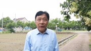 黄梅戏下载免费mp3打包下载《谁料皇榜中状