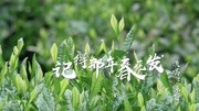 越剧下载免费视频到手机《记得那年春花发》陈飞演唱下载