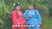黄梅戏视频免费下载网站《走投无路的爱情》