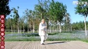 太极拳初学入门视频mp4免费下载 养生太极拳