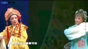 越剧下载免费视频到手机《王老虎抢亲》戏豹