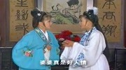 黄梅戏下载大全视频到u盘《走投无路的爱情