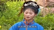 黄梅戏下载大全视频《桃花洞》家财万贯花不