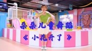 幼儿舞蹈视频大全2019《小花开了》简单易学