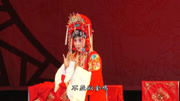 曲剧名家名段唱段《花为媒》张五可用目瞧 孔素红 朱雪娟 国家一级演员下载
