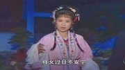 黄梅戏下载大全视频到u盘《女人配女人》公
