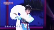 黄梅戏下载大全视频mp4免费下载《牛郎织女