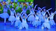 幼儿舞蹈视频大全教程mp4免费下载《海鸥飞