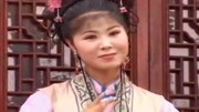 黄梅戏下载免费mp3《桃花洞》檩果开花三分
