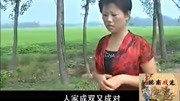 民间小调全剧集 视频mp4免费下载《媒婆说媒