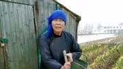 民间小调全剧集 视频mp4免费下载《老来难》