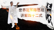 太极拳初学入门视频mp4免费下载 陈思坦四十二式太极拳动作分解第二段下载