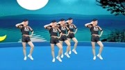 玫香广场舞教程视频大全下载《人生若如初见