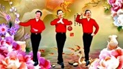 糖豆广场舞视频教学mp4免费下载《一个家一