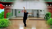 糖豆广场舞视频大全集mp4免费下载《别知己