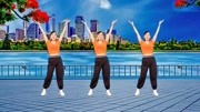 玫香广场舞跟音乐动起来《月满西楼》夏季减