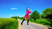 玫香广场舞跟音乐动起来《八戒八戒 》DJ何