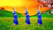 玫香广场舞跟音乐动起来《小小新娘花》云菲