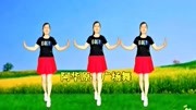 糖豆广场舞视频教学mp4免费下载《朋友遍天