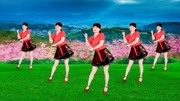 馨梅广场舞最新作品mp4免费下载《活着》火