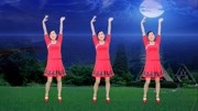 玫香广场舞跟音乐动起来《月满情怀》舞步优