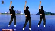 中老年最简单的健身舞《三月里的小雨》DJ广