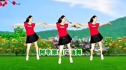 2020糖豆广场舞视频大全集mp4免费下载《迷路的蝴蝶》动感抒情跳起来轻松又减肥下载